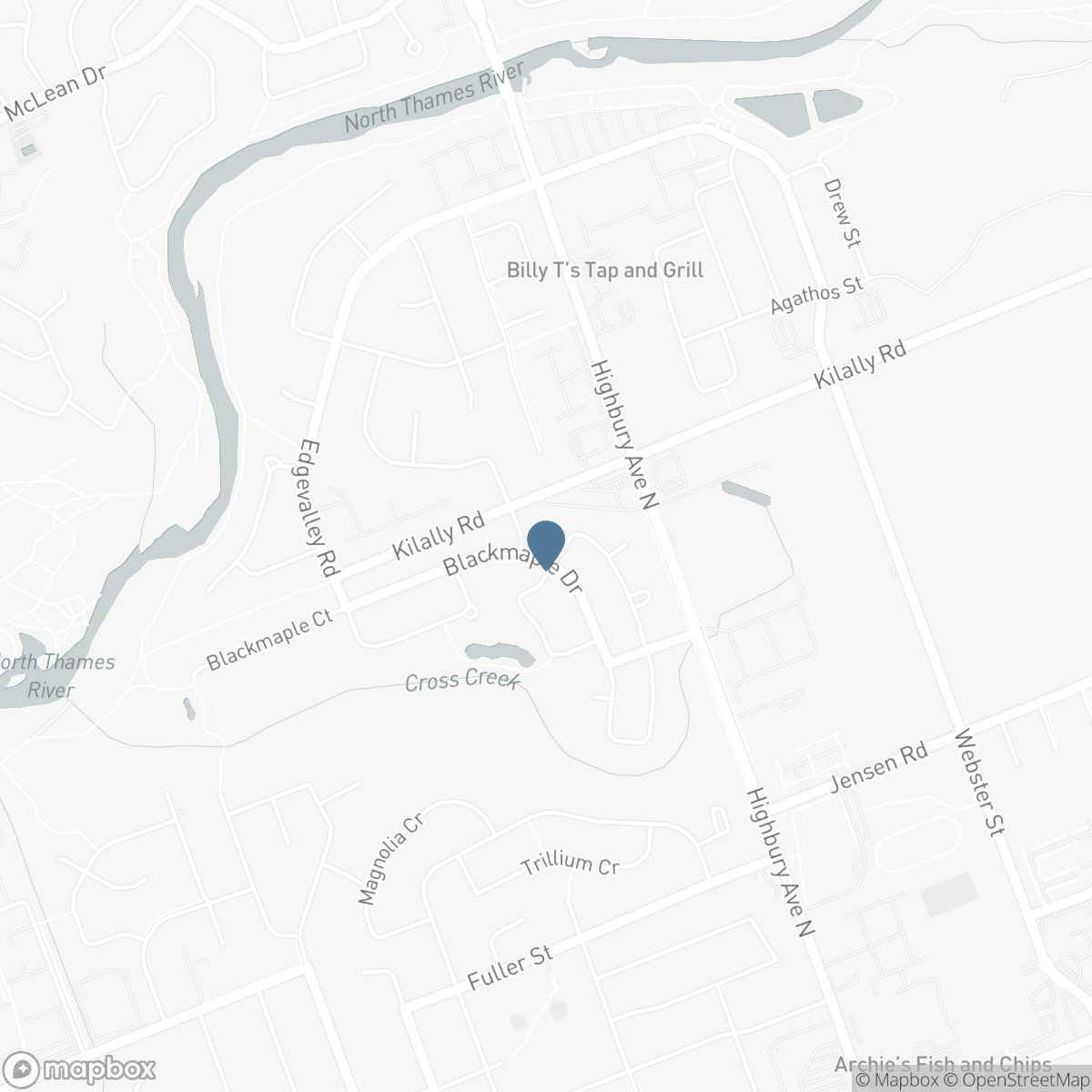 1318 BLACKMAPLE DRIVE, London, Ontario N5Y 5V4